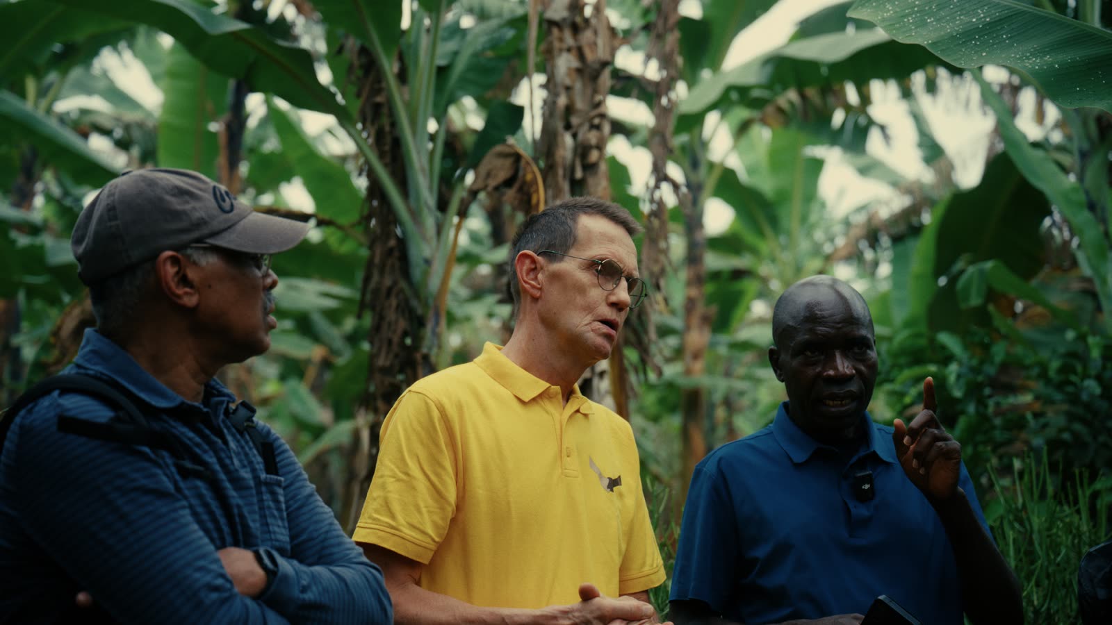 Drei Männer im Gespräch in einer Bananenplantage, einer davon im gelben Poloshirt.